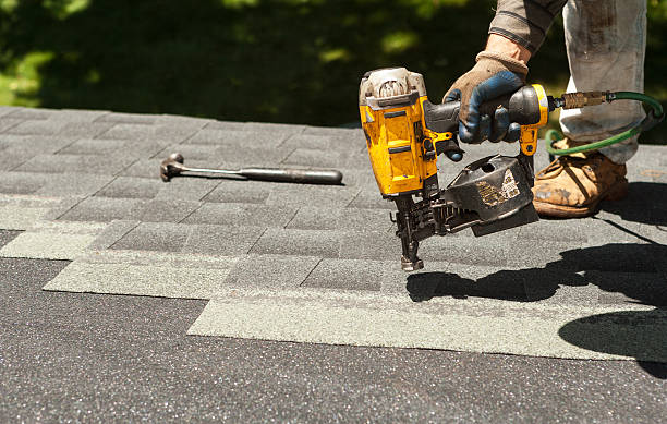 Best Roof Gutter Cleaning  in East Point, GA